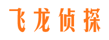 西陵侦探